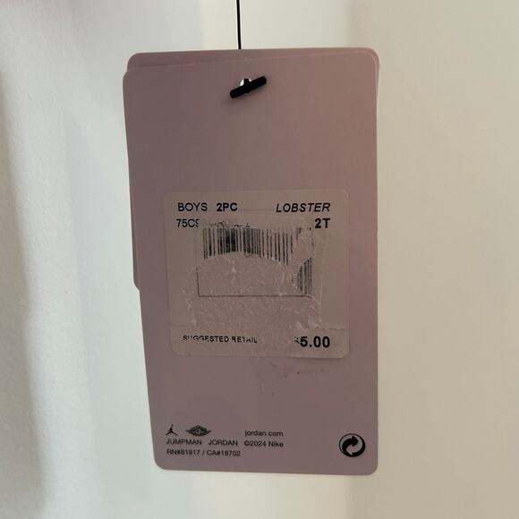 NWT Jordan Outfit Hoodie & Jogger Set Lobster, Red/Orange, Toddler Boy 2T - Picture 4 of 7